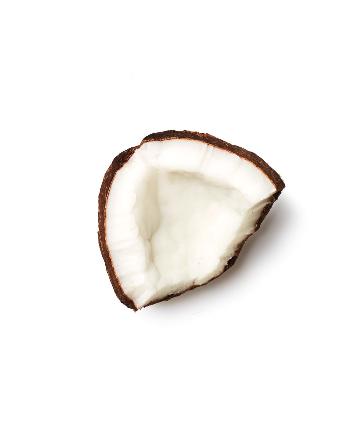 Coconut Protein Puff Bars