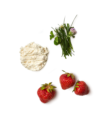 Strawberry Milk Whey Protein Isolate Powder
