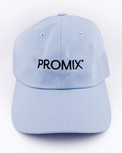 The Dad Hat Blue